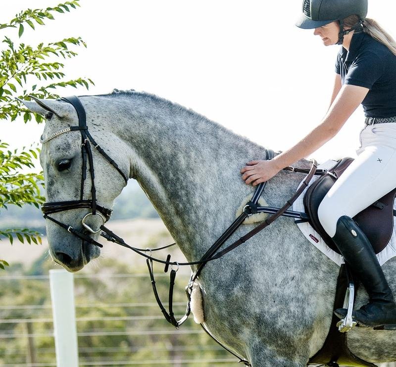 Mill & Hide - Lumiere Equestrian - Breastplate Antiqua Black