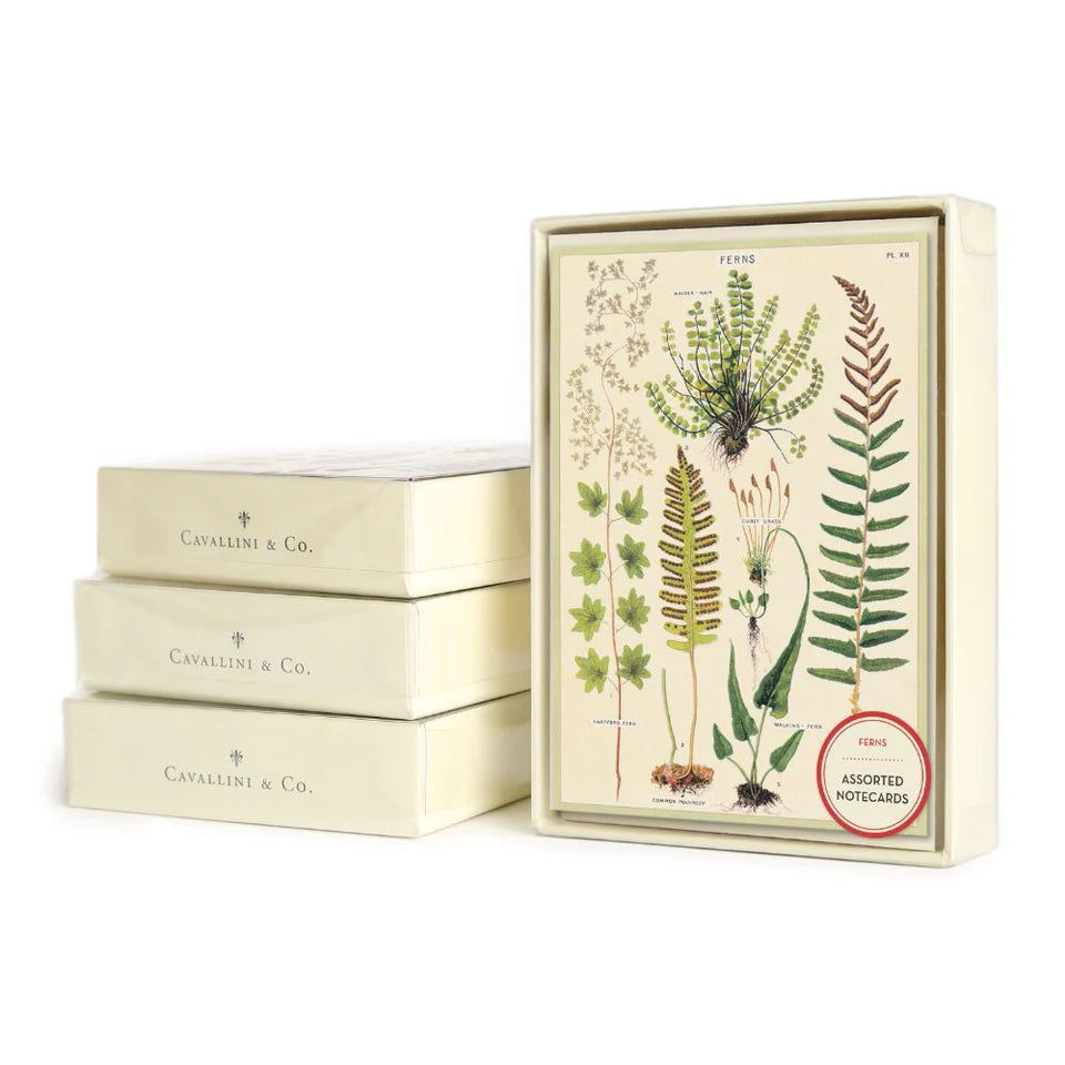 Cavallini Boxed Notecards - Fern