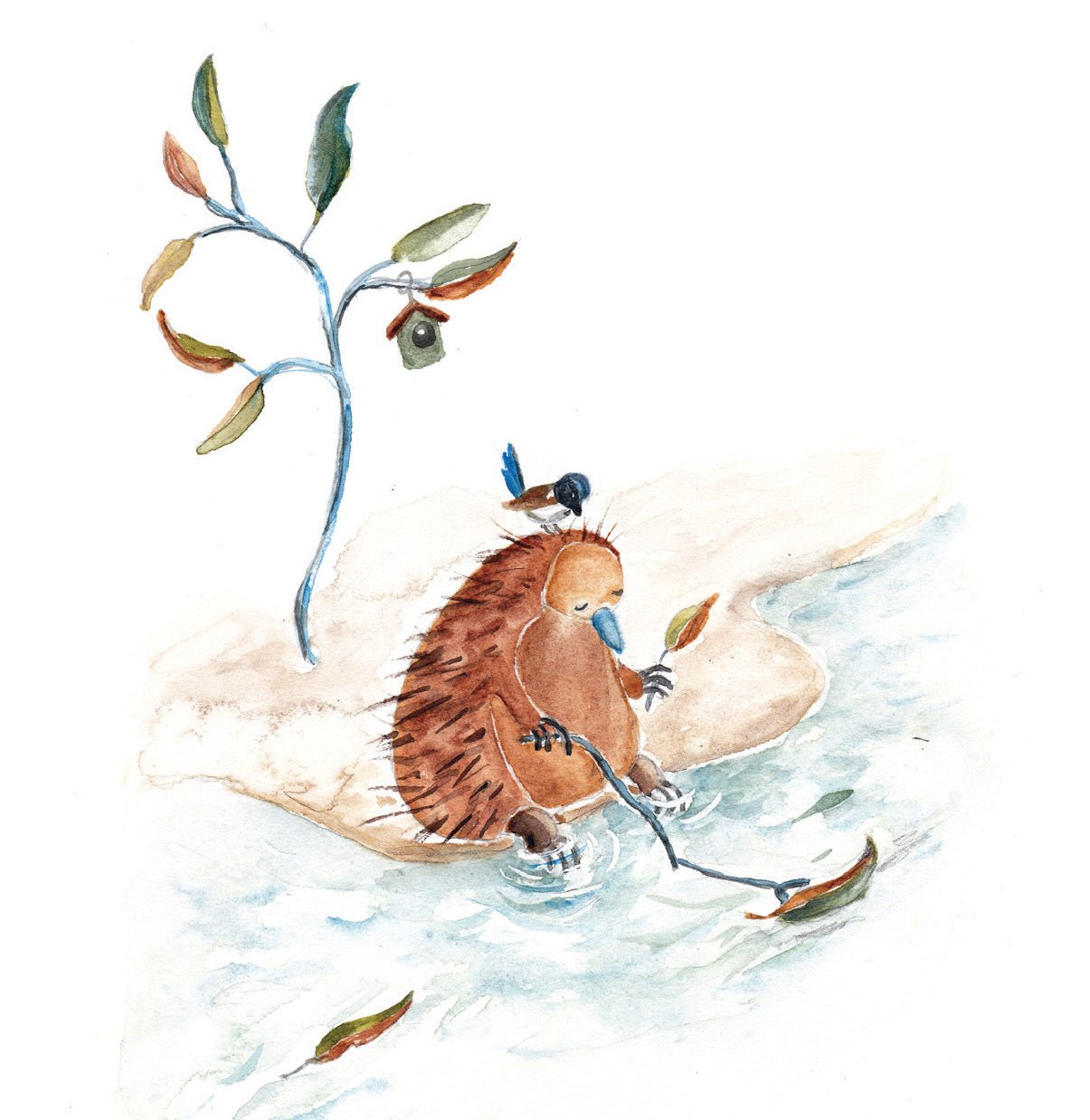 Mini Card - Echidna &amp; Bird Fishing