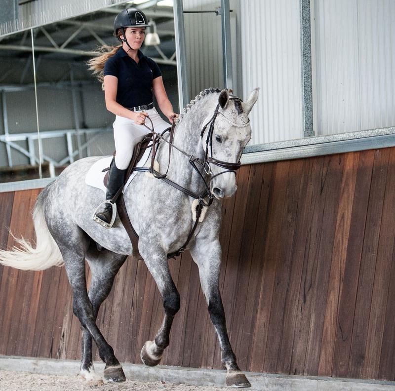 Mill & Hide - Lumiere Equestrian - Breastplate Antiqua Brown