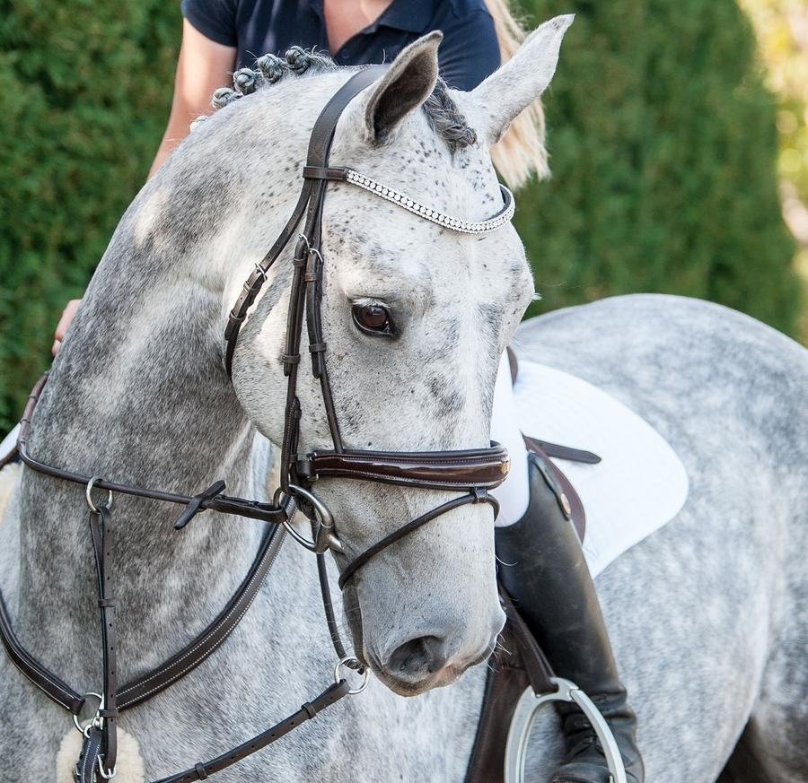 Mill & Hide - Lumiere Equestrian - Amie Bridle